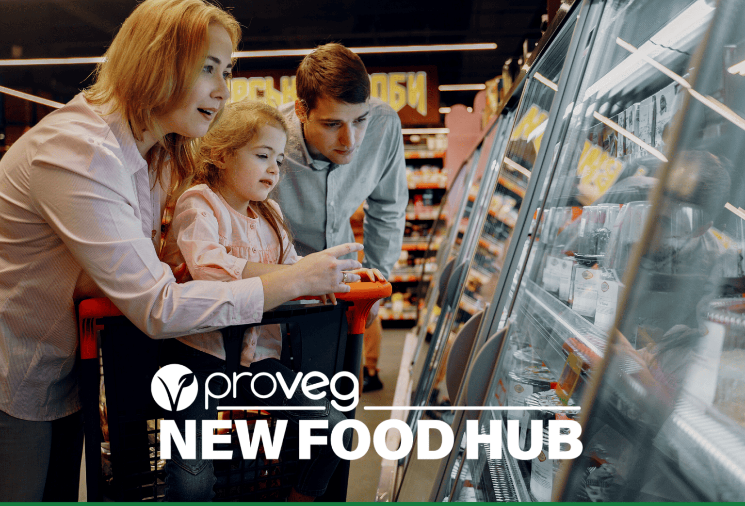 proveginternational