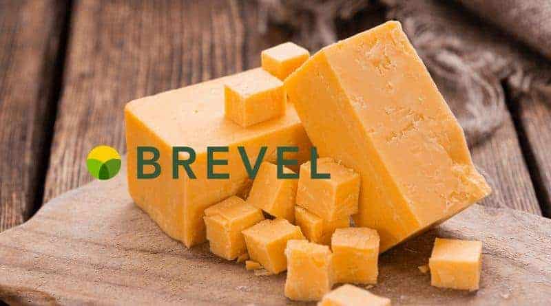 Brevel
